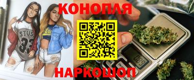 гашик Новозыбков
